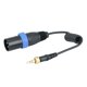 thumbnail image 2 of Cable de salida de micrófono con bloqueo de 3,5 mm a 3,5 mm a XLR macho para receptores inalámbricos, 2 of 8
