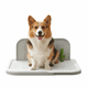 thumbnail image 1 of Tapete Entrenador para Perro Lavable con Pared 63x49x24 Ajolopet, 1 of 11