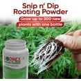 thumbnail image 4 of Hormex Rooting Powder #1 - Root Hormone & Stimulator for Delicate Plant Cuttings Propagation, 2 Pack, 4 of 7
