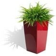 thumbnail image 2 of Algreen Modena Pot de Jardinière Carré Auto-Arrosant Intérieur/extérieur 22 Pouces avec Roues, Rouge, 2 of 10