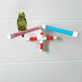 thumbnail image 3 of Juguete de plataforma de pie para baño de loros YONGSHENG con ventosas y soporte de molienda, 3 of 5