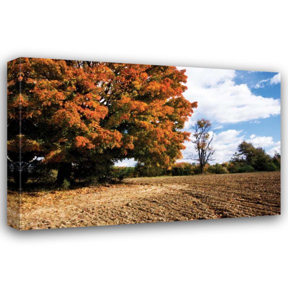 Alan Hausenflock 40x28 Gallery Wrapped Canvas Wall Art Titled - Autumn Scene II
