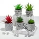 thumbnail image 3 of Cateissary Planta en maceta pequeña suculenta simulada: maceta de cemento con textura realista y las plantas artificiales están hechas grimace02 Type2 NO2, 3 of 6