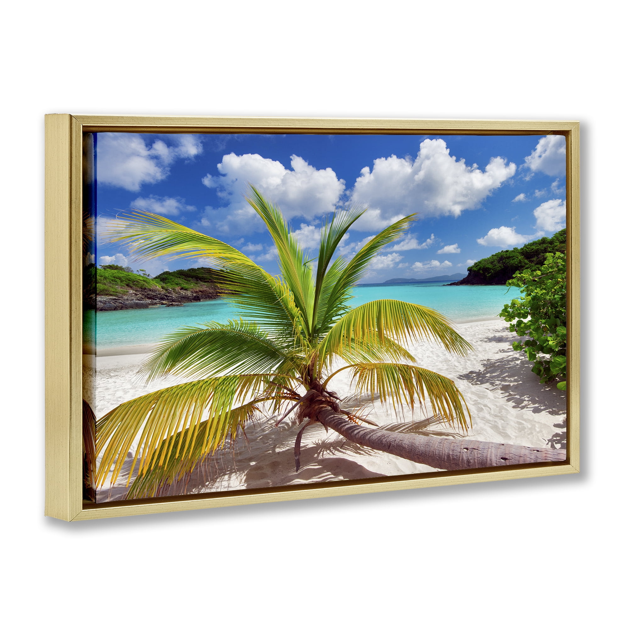 Stupell Industries Palm Tree Across Beach Coastal Photography Gold Floater Framed Canvas Art Print Wall Art, 25 x 17