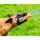 thumbnail image 2 of Juguete Chuckit! Ultra Bumper para Perros, 2 of 5