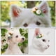 thumbnail image 2 of KAKOWELY Horquilla para el pelo para mascotas, accesorio para disfraz de perro para fiesta de bodas, horquilla de simulación de flores, pinza para el pelo de gato, 2 of 5