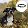 thumbnail image 3 of Collares para perros, bandas de yoga y diademas ajustadas para amantes de las mascotas, 3 of 5