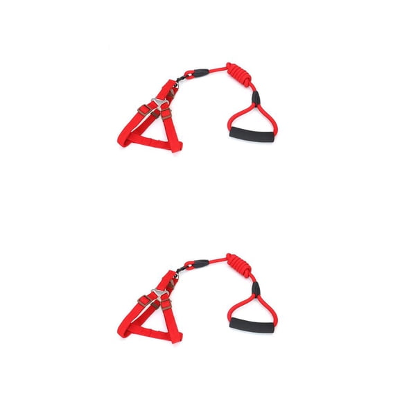 Greeniant Arnés para cerdos, arneses para caminar, correas portátiles de nailon, cinturón seguro, resistencia a la tracción, cuerda de para Type1 NO1