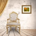 thumbnail image 3 of Popcorn 18x15 Gold Ornate Wood Framed with Double Matting Museum Art Print Titled - Color Mood IV: Globe Mallow, 3 of 4