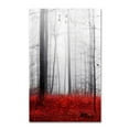 thumbnail image 2 of Trademark Fine Art "Little Red Carpet" Canvas Art by Philippe Sainte-Laudy, 2 of 4