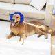 thumbnail image 5 of Abrigo de Oreja de Perro Sunnimix Disfraz de Perro Diadema de Redecil de Invierno, 5 of 8
