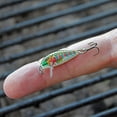 thumbnail image 3 of (2 pack) Rapala Jointed Shad Rap 04 Fishing Lure 1.5" 3/16oz Fire Crawdad, 3 of 5