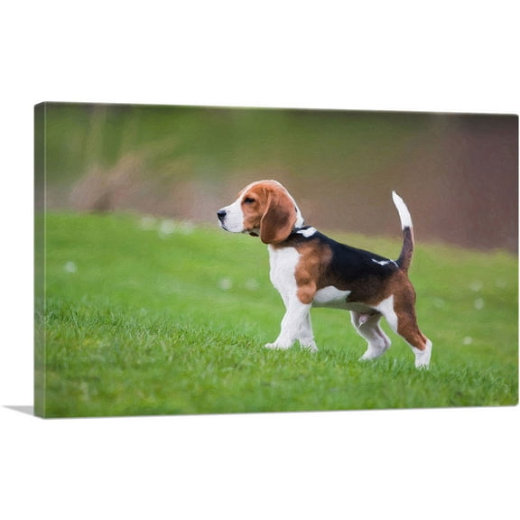 ARTCANVAS Beagle Dog Breed Canvas Art Print - Size: 26" x 18" (0.75" Deep)