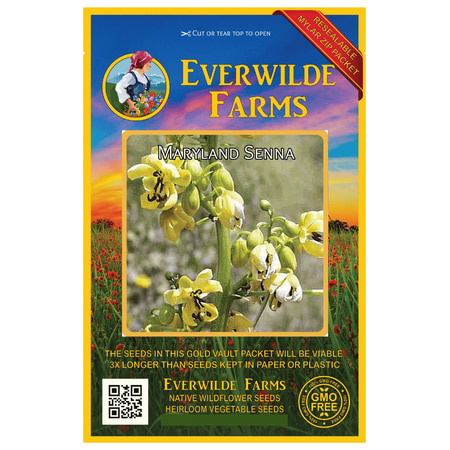 Everwilde Farms - 50 Maryland Senna Native Wildflower Seeds - Gold Vault Jumbo Bulk Seed