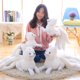 thumbnail image 2 of 1 pieza de peluche de zorro blanco de nueve colas de simulación, juguete de peluche de zorro de alta calidad, regalo de cumpleaños Gumiho, juguete para decoración del hogar, juguete para niños, 2 of 4