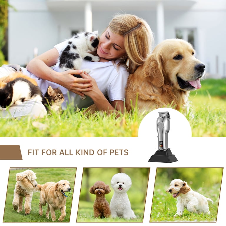Cshidworld Professional Dog Grooming Clippers, Heavy Coats photo 7