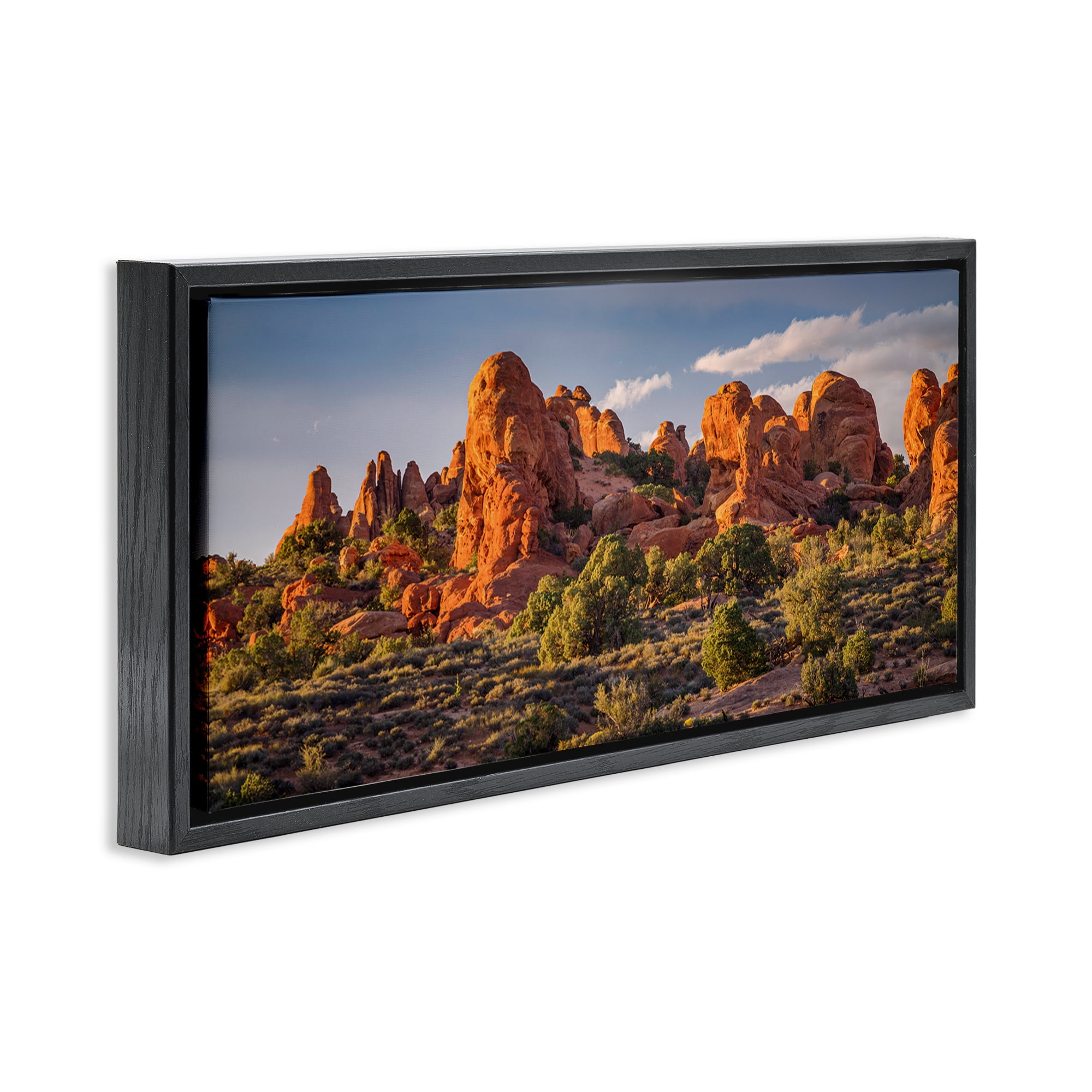 Stupell Industries Pointed Canyon Buttes Landscape & Nature Photography Black Floater Framed Canvas Art Print Wall Art, 25 x 11