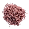 thumbnail image 4 of LEFU pour Appâts Souples, Leurres de Pêche au Ver de Terre - 50 Pcs Hameçons Crankbaits Rouges pour Pêche en Eau Douce et Salée - Tailles 8CM Disponibles - Matériau Plastique, 4 of 8