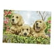 thumbnail image 1 of Kit de Decorativo Dibujo de Perro Sunnimix Manualidad Arte para Mujer Chica, 1 of 8