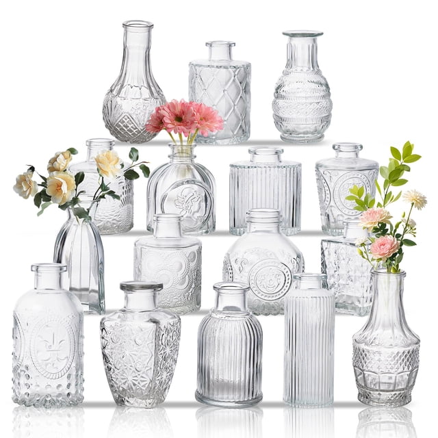 Set de jarrones de cristal BJONKZ Vintage para decoración de mesa para el hogar (16 unidades)