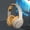 Khaki Christmas Gifts, variant on Winter karymi Over Ear Stereo Wireless Bluetooth Headphones HD Call Intelligent Noise Reduction HiFi Sound Quality Esports Games Music Bluetooth Headphones Gifts