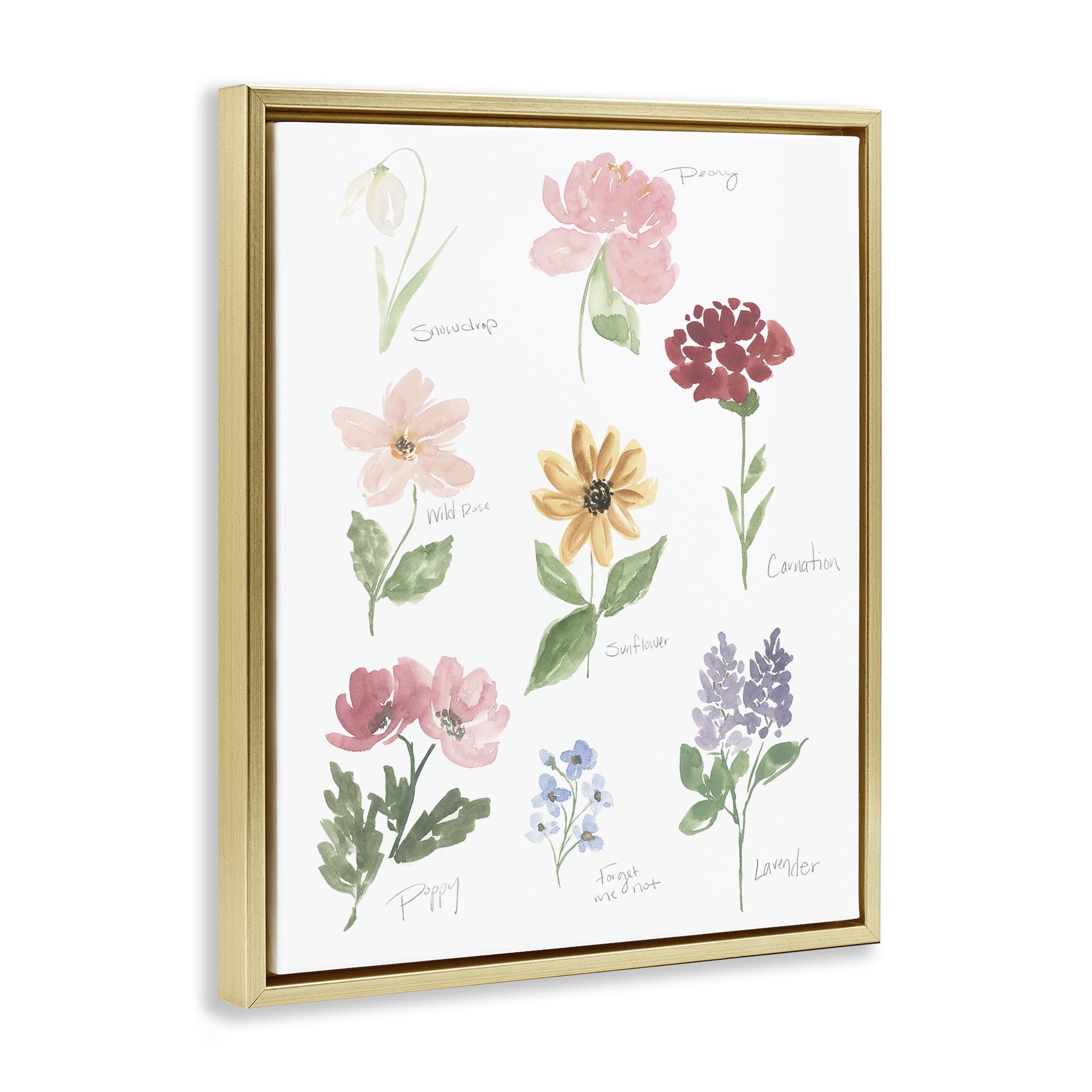 Stupell Industries Labeled Flower Varieties Gold Framed Floater Canvas Wall Art, design by Lucille Price