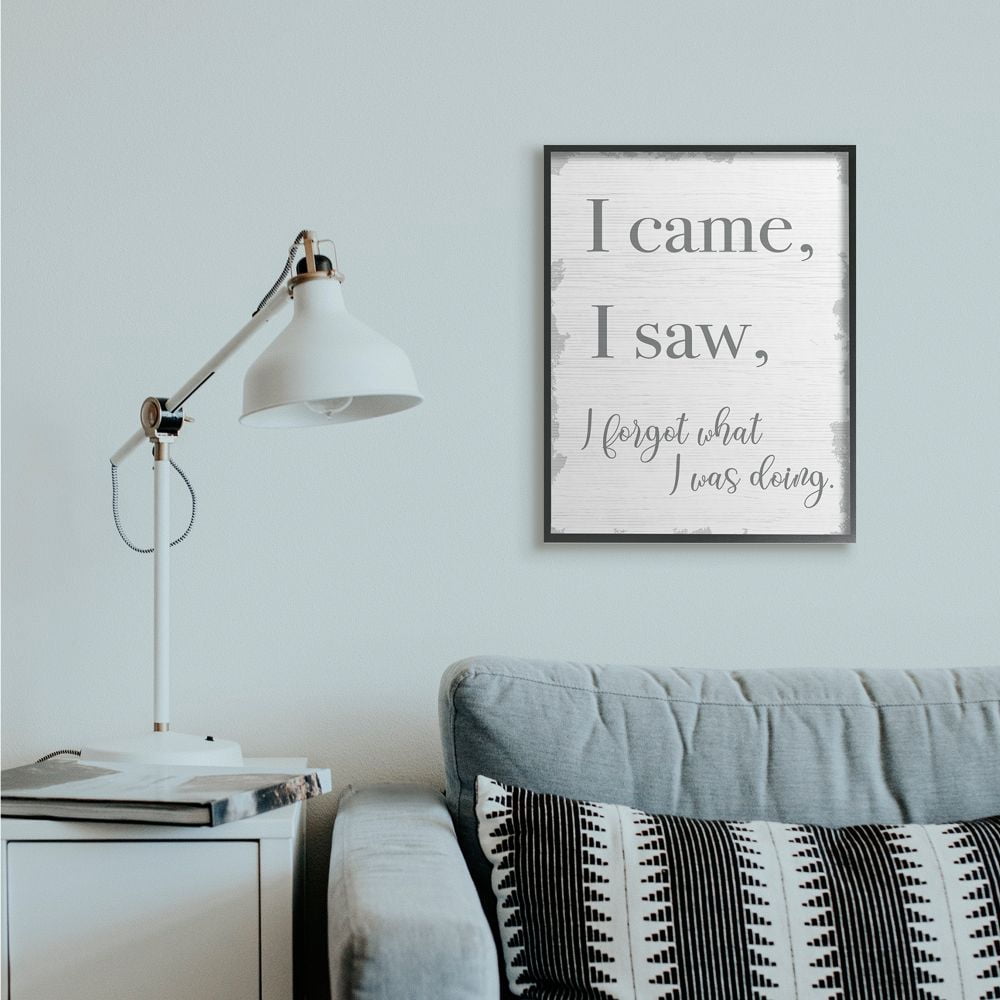 Stupell Industries I Came, I Saw, I Forgot Quote with Distressed Charm Designed by Daphne Polselli