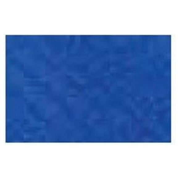 Richeson SP121229 Peinture à l'Huile Artiste Couleur Bleu Outremer