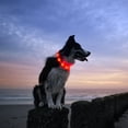 thumbnail image 4 of Collar de perro LED, Collar de perro de mascota con luz recargable USB para seguridad nocturna, Collar de luz de moda para perros pequeños a medianos Ormromra 2034483-6, 4 of 8