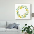 thumbnail image 3 of Trademark Fine Art 'Floursack Lemon V on White' Canvas Art by Danhui Nai, 3 of 4
