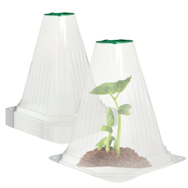Campana reutilizable mejorada de Garden Cloches Koujut 2025 (20 cm, transparente)