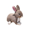 thumbnail image 1 of Juguetes de Conejo para Conejos Rellenos Muñeca de Conejos, Tela Wistiti Suave Juguete de Pascua Decoración de Niños Marrón 20x22x10cm, 1 of 6
