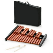 25 Note Xylophone Wooden Percussion Educational Instrument with 2 Mallets