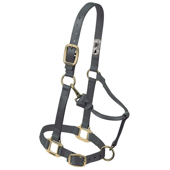 Weaver Leather Horse Halter: Adjustable Nylon for Comfort & Durability Graphite / Small Horse