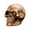 B, variant on 0.8 in. Halloween Scary Skulls — Bone Textures with Eerie Shadows, Halloween Decorations for Snack Tables, Dessert Stations & Halloween Party Setups for Halloween with spooky setups