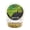 Yellow (Sweet Corn Flavor), variant on WCB Carp Baits Fishing Dough Bait Paste Soft Pellets - Soft Carp Bait - Ideal for Carp and Catfish Fishing