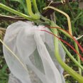 thumbnail image 2 of ziyahi 100pcs Fruit Plante Fleur Protéger Sacs Réutilisables Cordon Maille Jardin Filet Protection Pochette, 2 of 8