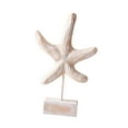 thumbnail image 2 of Estatua decorativa de playa de madera, figura decorativa, escultura artística, figura decorativa para Forma de estrella de mar, 2 of 9