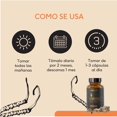 thumbnail image 4 of Hongo Cordyceps 60 cápsulas veganas Quenut Adaptógenos Quenut QUENUTCORDYCEPS, 4 of 5
