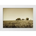 thumbnail image 3 of Alan Hausenflock 18x13 White Modern Wood Framed Wall Art Titled - Goochland Farm I, 3 of 5