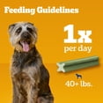 thumbnail image 6 of Pedigree Dentastix Fresh Flavor Dental Dog Treats For Large Dogs, 5 Oz. Pack, 6 of 10