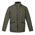 thumbnail image 2 of Regatta - Chaqueta Aislante Londyn de Acolchado para Hombre (Pan de Jengibre), 2 of 5