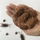 thumbnail image 2 of 24pcs Simulación Poop Toy Realistic Poo Juguetes Día de April Fool Tricky Props, 2 of 5