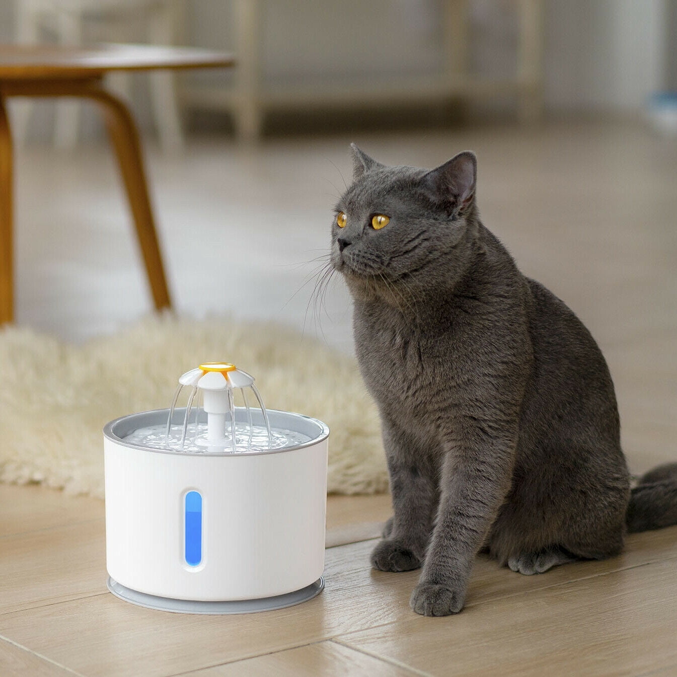 SHANNA 2.4L LED Pet Water Fountain Dog Cat Automatic Water Dispenser Drinking Bowl Drinker