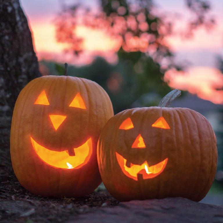 ☆　お急ぎ発送；pumpkin(*^^*)様　ルースパウダー２ Burpee Jack-o'-lantern Pumpkin Annual Vegetable Seed, 1-Pack, Full