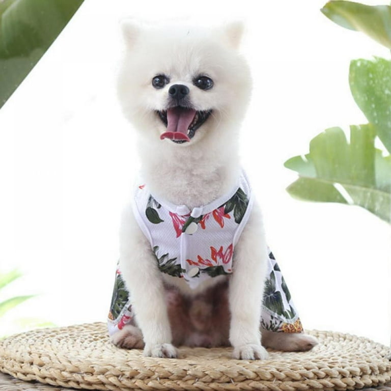 Dog clearance beach outfit