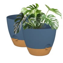 FIASON 2 Pack Plastic 10 Inch Blue with Brown Self Watering Plant Pots for Indoor Outdoor,Flower Pots Include Drainage Holes and Saucer