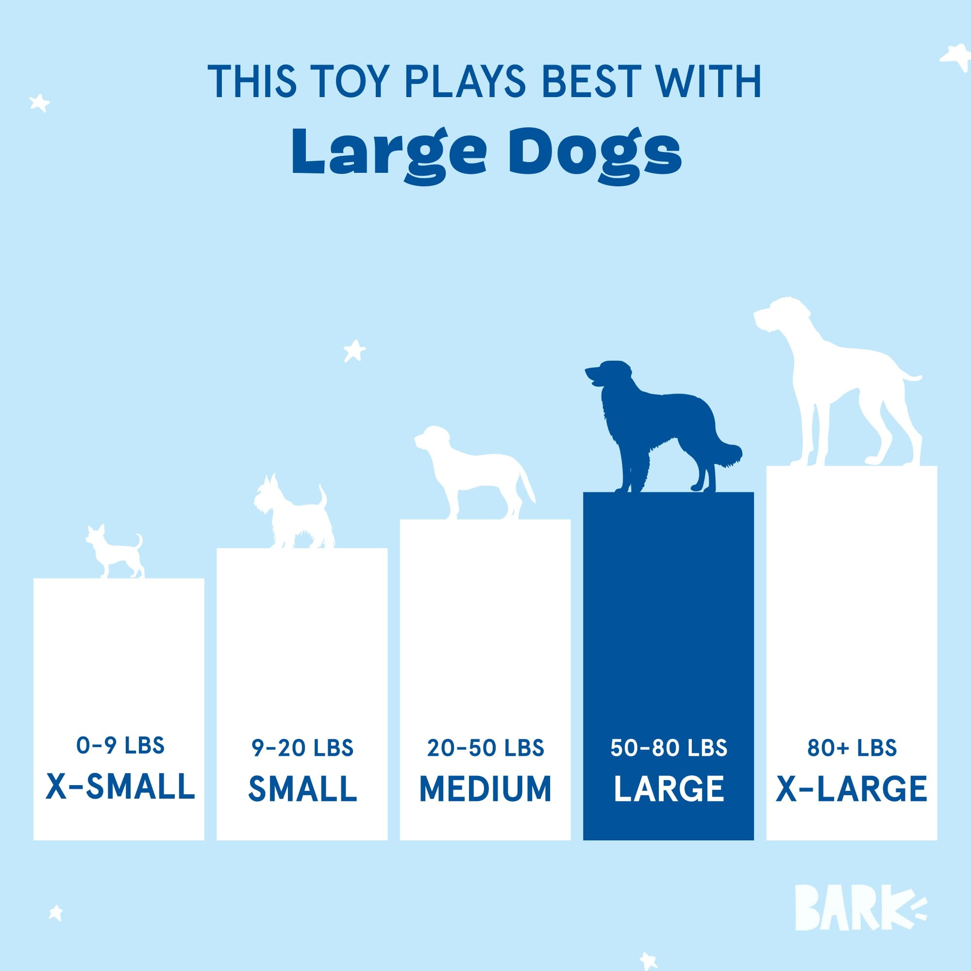 How Many Toys Should a Dog Have: Expert Insights