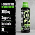 thumbnail image 5 of NutraBio – L-Carnitine Liquid Shots – 3000mg, (Green Apple) – 10mg of Vitamin B-5 – Zero Carbs & Sugars – Energy Production – Muscle Recovery, 5 of 9