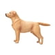 thumbnail image 3 of Figura de perro a escala 1:6, micropaisaje, decoración, figura de acción, accesorios, decoración, de labrador realista, juego de estatuas de animales. sin correa, 3 of 10